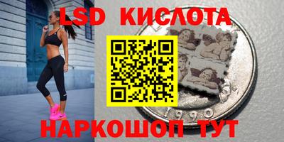 прущие грибы Конаково