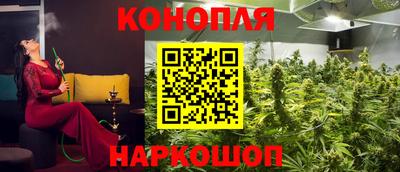 прущие грибы Конаково