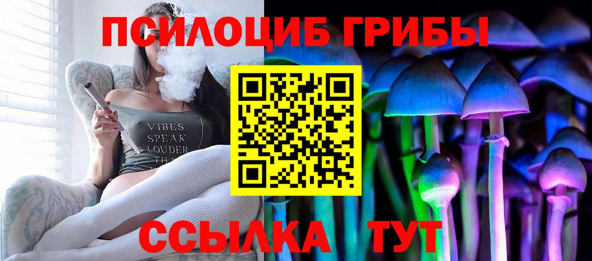 Псилоцибиновые грибы Psilocybe  Вход с VPN  Буйнакск 